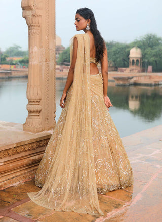 Gold Lehenga Sari Set