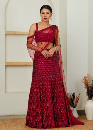 Sanya Gulati-Ombre Red Hand Embroidered Lehenga Set-INDIASPOPUP.COM