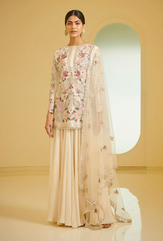 Varun Bahl-Light Pink Embroidered Sharara Set-INDIASPOPUP.COM