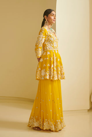 Varun Bahl-Yellow Embroidered Peplum With Sharara-INDIASPOPUP.COM