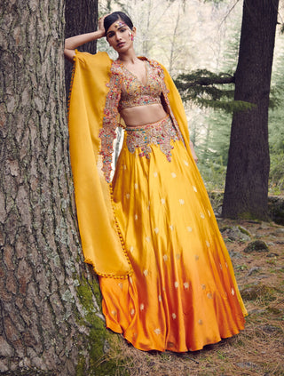 Dolly J-Navajo Satin Hand Woven Lehenga Set-INDIASPOPUP.COM