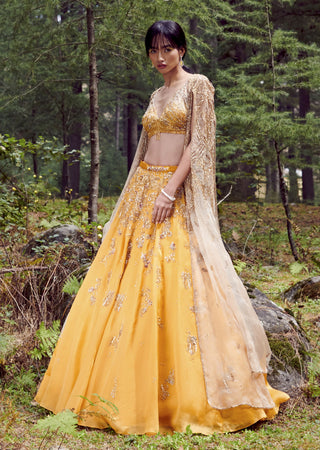 Dolly J-Suzy Yellow Organza Lehenga Set-INDIASPOPUP.COM