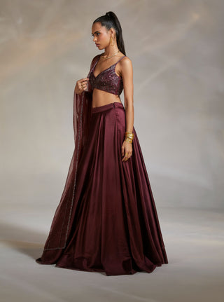 Divya Aggarwal-Alano Wine Embellished Lehenga Set-INDIASPOPUP.COM