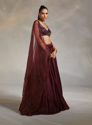 Divya Aggarwal-Alano Wine Embellished Lehenga Set-INDIASPOPUP.COM