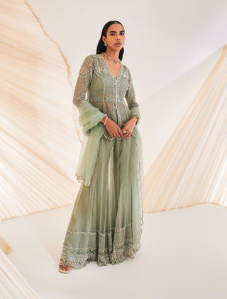 Divya Aggarwal-Teigen Sage Green Embellished Sharara Set-INDIASPOPUP.COM