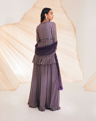 Divya Aggarwal-Meadow Purple Printed Sharara Set-INDIASPOPUP.COM