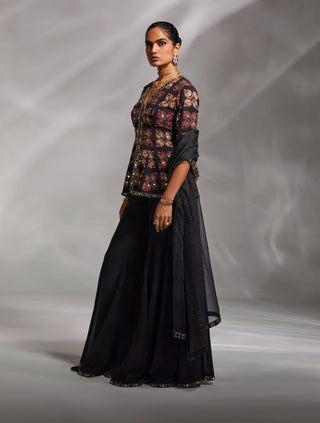 Divya Aggarwal-Etana Black Embroidered Sharara Set-INDIASPOPUP.COM