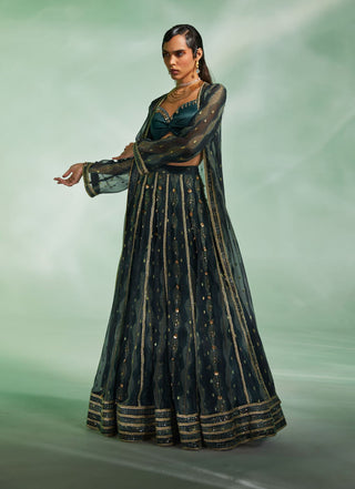 Divya Aggarwal-Glory Dark Green Embroidered Lehenga Cape Set-INDIASPOPUP.COM