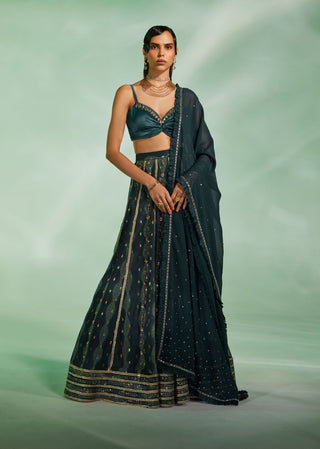 Divya Aggarwal-Glory Dark Green Embroidered Lehenga Cape Set-INDIASPOPUP.COM