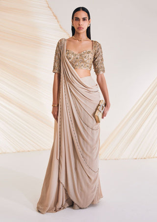 Divya Aggarwal-Taylen Beige Embellished Sari With Blouse-INDIASPOPUP.COM