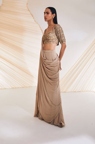 Divya Aggarwal-Taylen Beige Embellished Sari With Blouse-INDIASPOPUP.COM