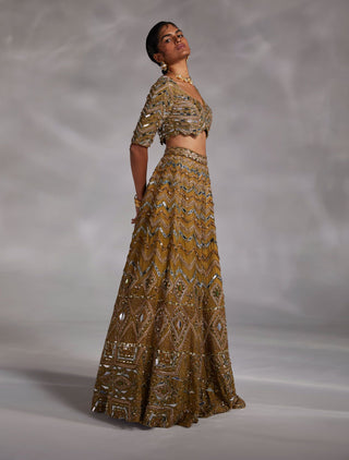 Divya Aggarwal-Haven Ecru Olive Embellished Lehenga Set-INDIASPOPUP.COM