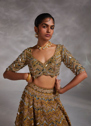 Divya Aggarwal-Haven Ecru Olive Embellished Lehenga Set-INDIASPOPUP.COM