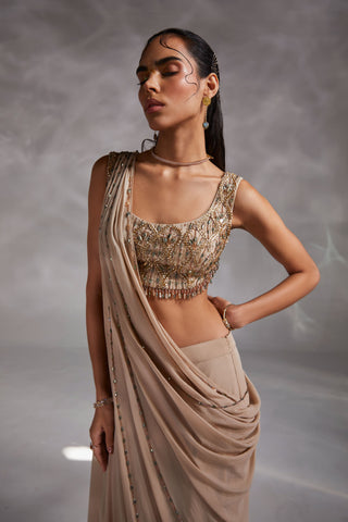 Divya Aggarwal-Taylen Beige Embellished Sari With Blouse-INDIASPOPUP.COM