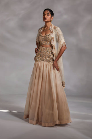 Divya Aggarwal-Hayden Beige Embellished Lehenga Set-INDIASPOPUP.COM