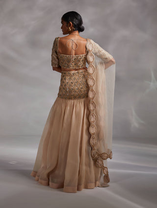 Divya Aggarwal-Hayden Beige Embellished Lehenga Set-INDIASPOPUP.COM