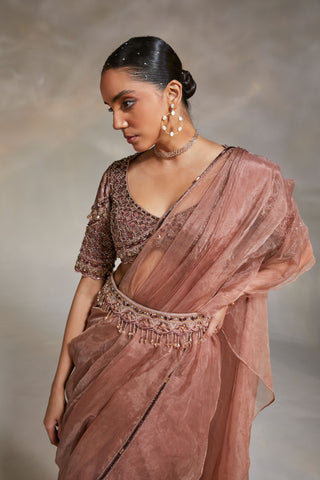 Divya Aggarwal-Willow Mauve Ruffle Sari Set-INDIASPOPUP.COM