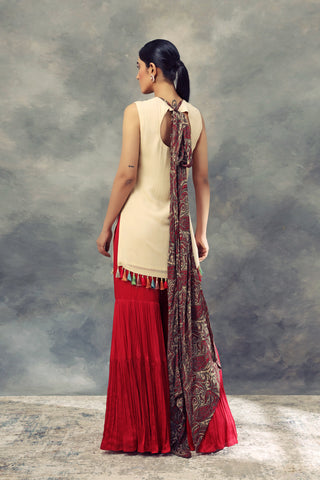 Bhumika Sharma-Ivory Top With Thread Work & Sharara-INDIASPOPUP.COM