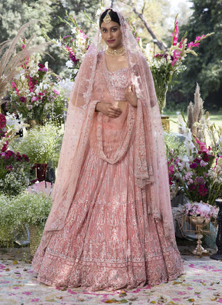 Megha & Jigar-Pink Net Bridal Lehenga Set-INDIASPOPUP.COM