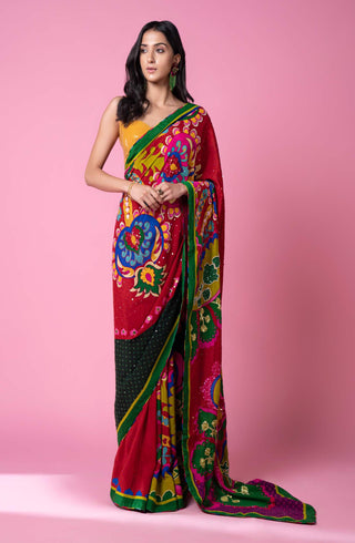 Siddhartha Bansal-Salsa Red Embroidered Sari With Blouse-INDIASPOPUP.COM