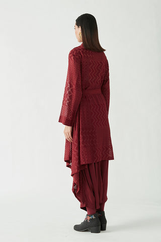 Payal Pratap-Wine Loie Embroidered Overlay-INDIASPOPUP.COM