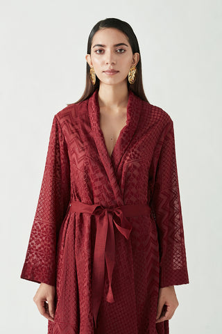 Payal Pratap-Wine Loie Embroidered Overlay-INDIASPOPUP.COM