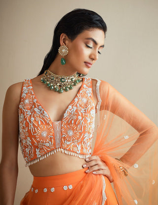 Orange Embellished Lehenga Set