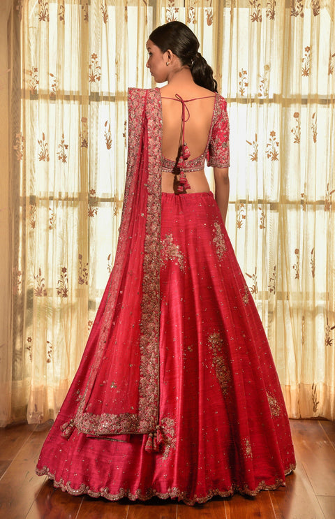 Dolly J-Red Wood Raw Silk Lehenga Set With Tilla Border-INDIASPOPUP.COM