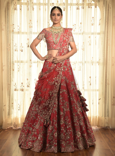 Red Eka Raw Silk Lehenga Set