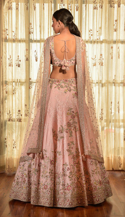 Dolly J-Pale Pink  Aviana Chiffon Chikankari Lehenga Set-INDIASPOPUP.COM