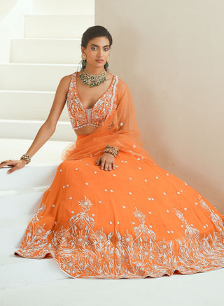 Orange Embellished Lehenga Set