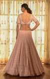 Dolly J-Pale Pink Apricot Georgette Chikankari Lehenga Set-INDIASPOPUP.COM