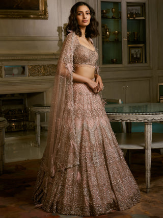 Dolly J-Dust Pink Nikolina Lehenga Set-INDIASPOPUP.COM