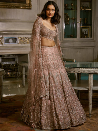 Dolly J-Dust Pink Nikolina Lehenga Set-INDIASPOPUP.COM