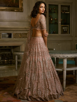 Dolly J-Dust Pink Nikolina Lehenga Set-INDIASPOPUP.COM