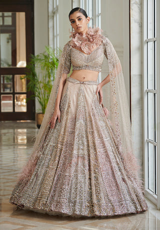 Dolly J-Gianna Pearl Muted Pink Lehenga Set-INDIASPOPUP.COM