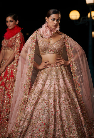 Dolly J-Roseate Blush Peach Lehenga Set-INDIASPOPUP.COM