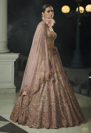 Dolly J-Roseate Blush Peach Lehenga Set-INDIASPOPUP.COM