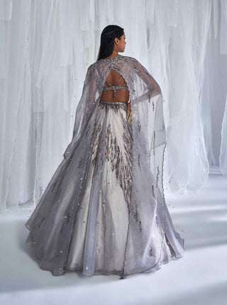 Dolly J-Elaheh Silver Lehenga Cape Set-INDIASPOPUP.COM