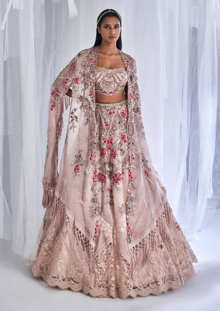 Dolly J-Cedar Wood Organza Lehenga Cape Set-INDIASPOPUP.COM