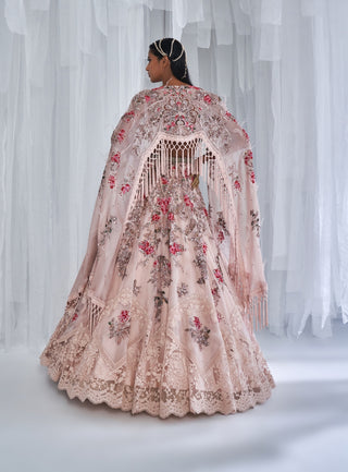 Dolly J-Cedar Wood Organza Lehenga Cape Set-INDIASPOPUP.COM