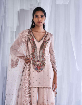 Dolly J-Ubika Pink Chiffon Sharara Set-INDIASPOPUP.COM