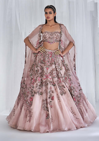 Dolly J-Rosalie Organza Lehenga Cape Set-INDIASPOPUP.COM