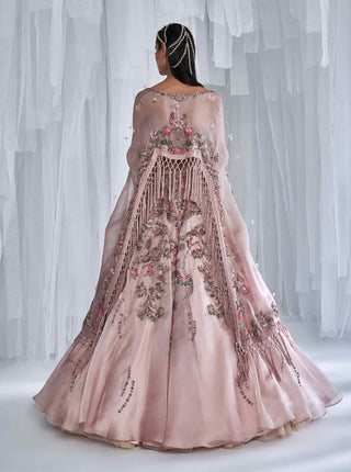 Dolly J-Rosalie Organza Lehenga Cape Set-INDIASPOPUP.COM