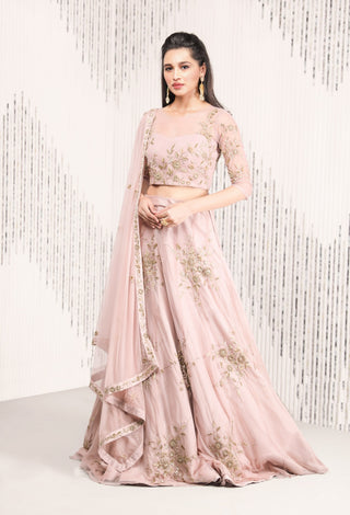 Charu & Vasundhara-Old Rose Sheer Top With Lehenga & Dupatta-INDIASPOPUP.COM