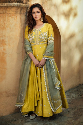 Pickle Lemon Anarkali Set