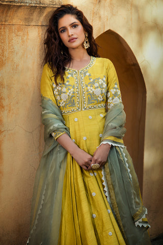 Pickle Lemon Anarkali Set