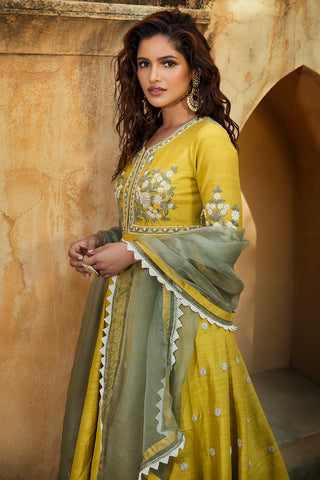 Pickle Lemon Anarkali Set