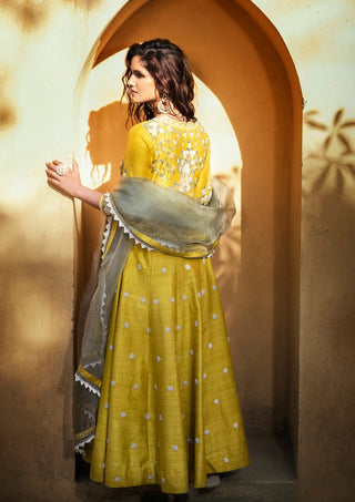 Pickle Lemon Anarkali Set