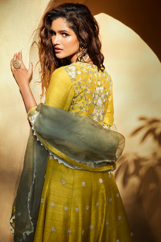 Pickle Lemon Anarkali Set